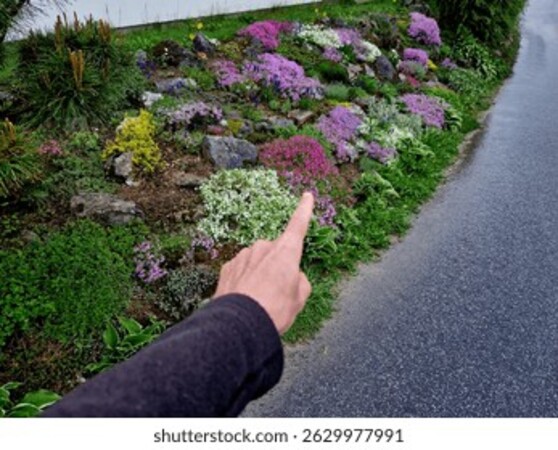 景观工程雕塑整体解决方案服务 DZ-QY2909